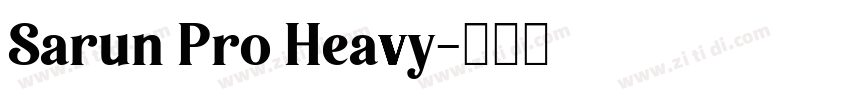 Sarun Pro Heavy字体转换